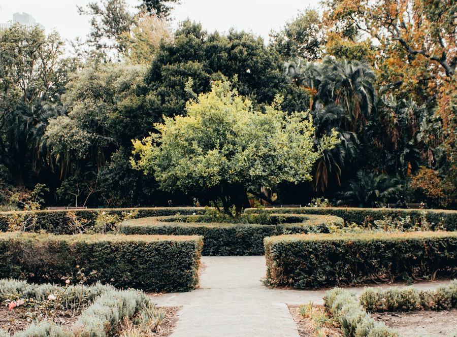 Company’s Gardens
