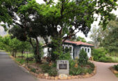 De Waal Park