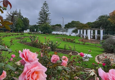 Durbanville-Rose-Garden