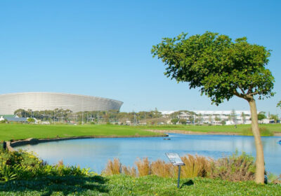 Green-Point-Park1