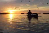 Cape Town Kayak Adventures