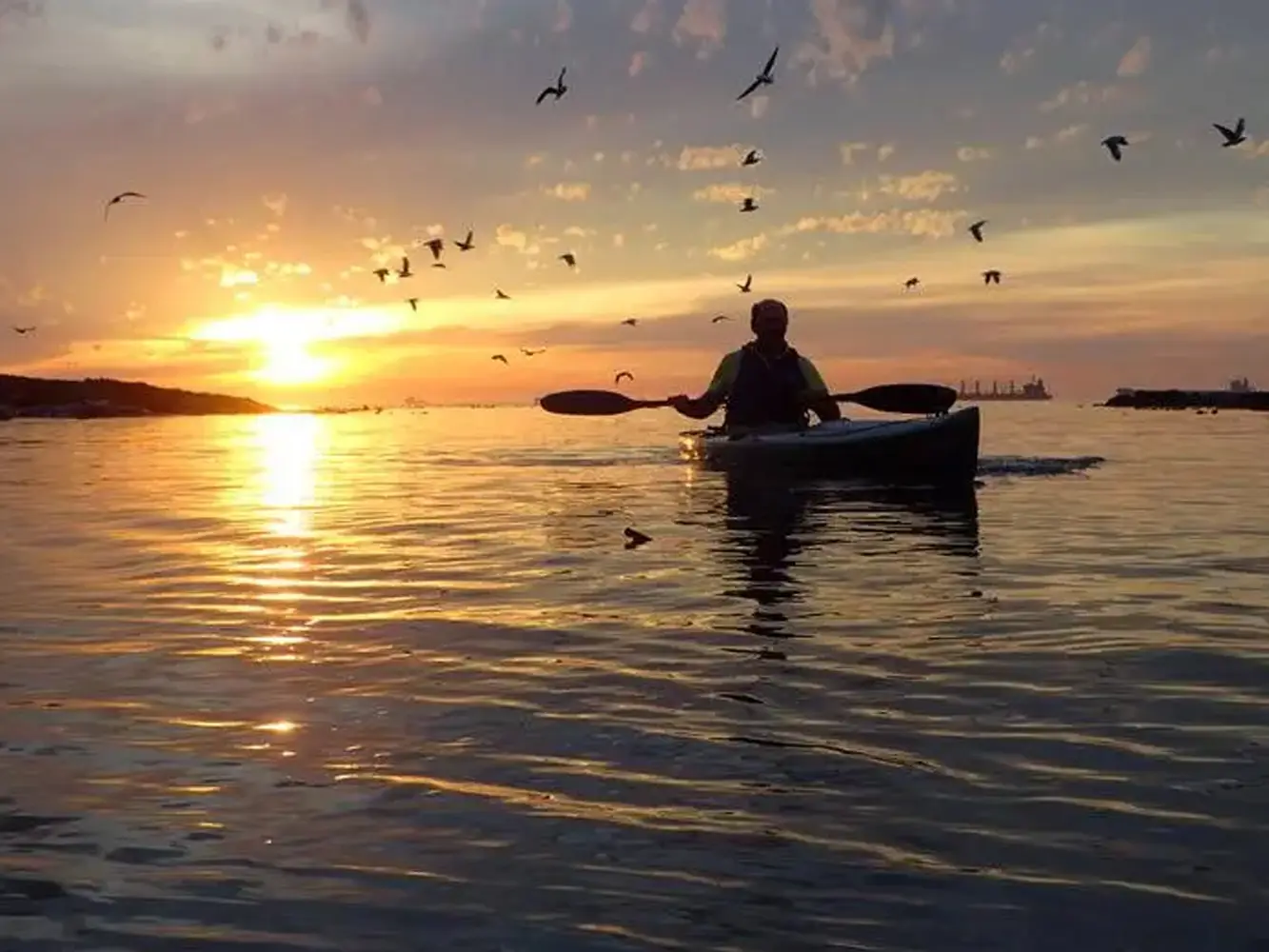 Cape Town Kayak Adventures