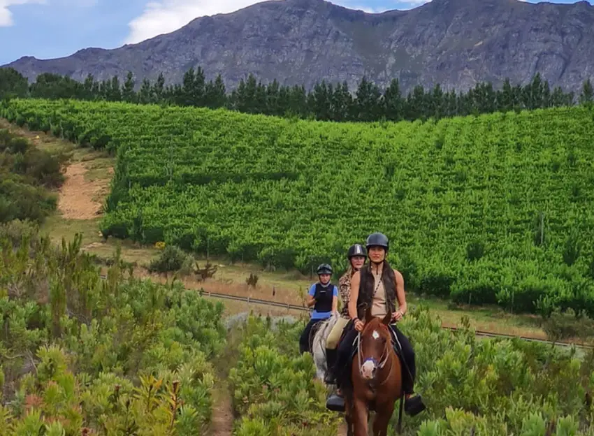 Cape Town Horse Riding Experiences