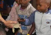 Exotic Animal World – Butterfly World