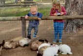 Imhoff Farm