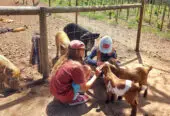 Imhoff Farm