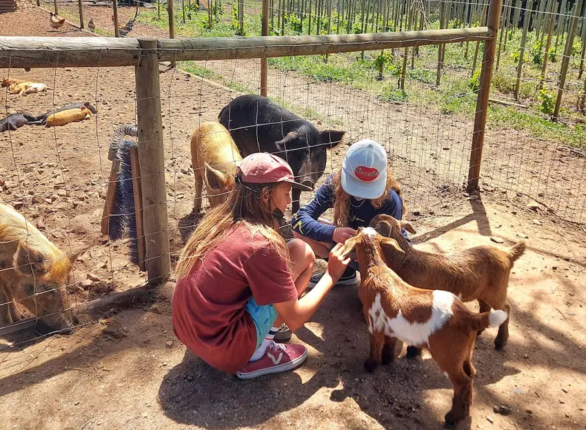 Imhoff Farm