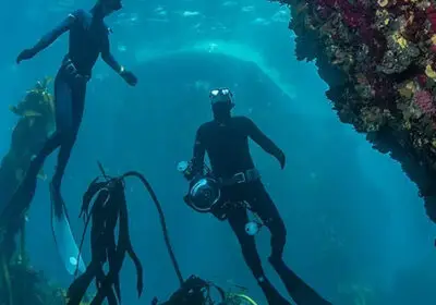 ocean-safari