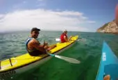 Dolphin Adventures Sea Kayaking