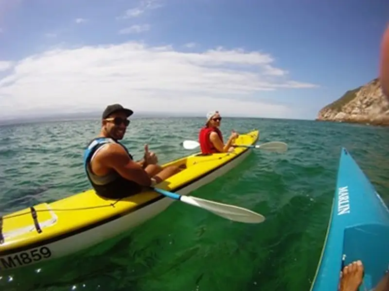 Dolphin Adventures Sea Kayaking