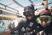White Shark Projects – Gansbaai