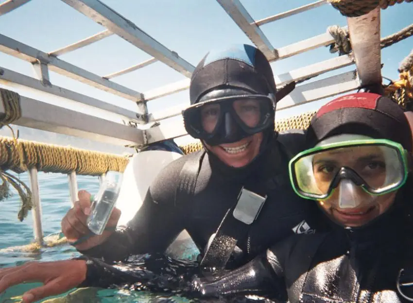 White Shark Projects – Gansbaai