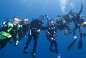 Shark Warrior Adventures