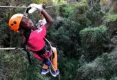 Stormsriver Adventures – Ziplining