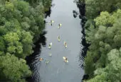 Canyon Tubing Adventure