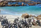Cape Columbine or Beach eBike Tours