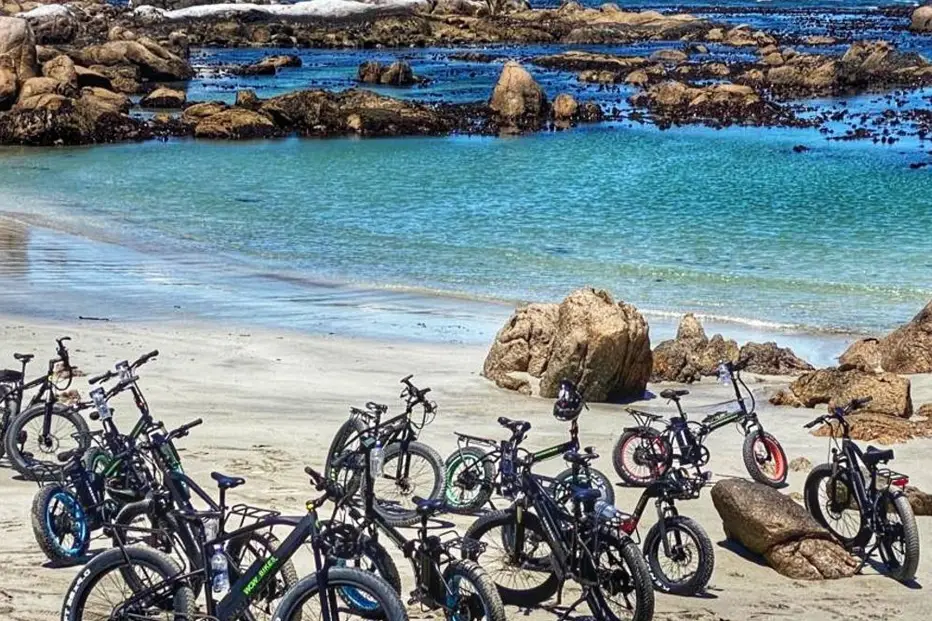 Cape Columbine or Beach eBike Tours