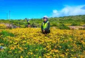 Cape Columbine or Beach eBike Tours