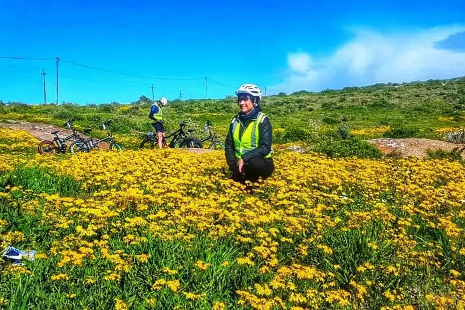 Cape Columbine or Beach eBike Tours