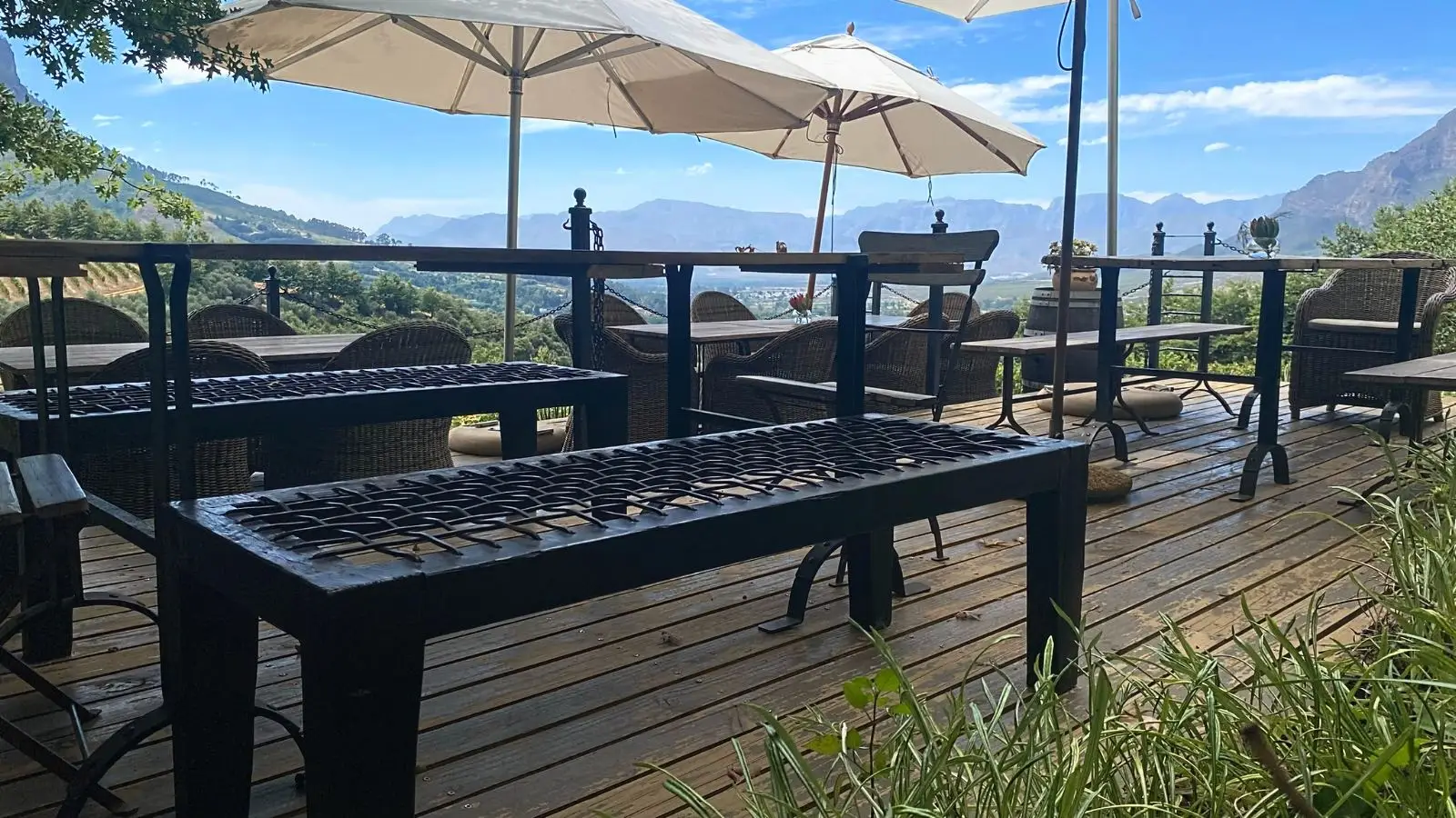 Lola Tours – Cape Winelands Culture & Heritage