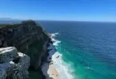 Penguin Paradise: Cape Peninsula Tour