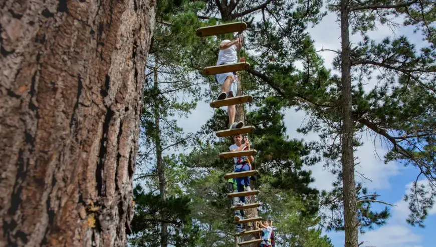 Acrobranch Garden Route – Treetop Fun!