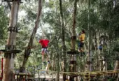 Acrobranch Stellenbosch – Experience the Rush
