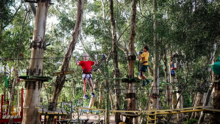 Acrobranch Stellenbosch – Experience the Rush