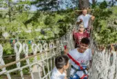 Acrobranch Garden Route – Treetop Fun!