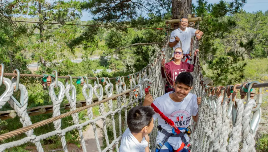 Acrobranch Garden Route – Treetop Fun!