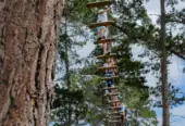 Acrobranch Constantia: Experience the Thrill