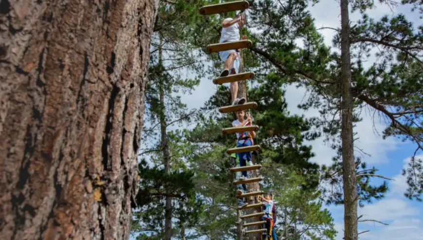 Acrobranch Constantia: Experience the Thrill