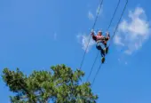 Acrobranch Garden Route – Treetop Fun!