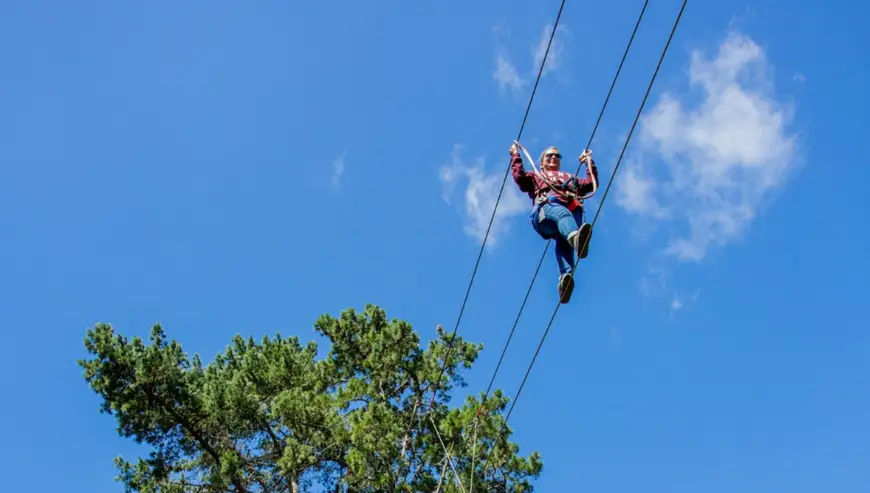 Acrobranch Garden Route – Treetop Fun!