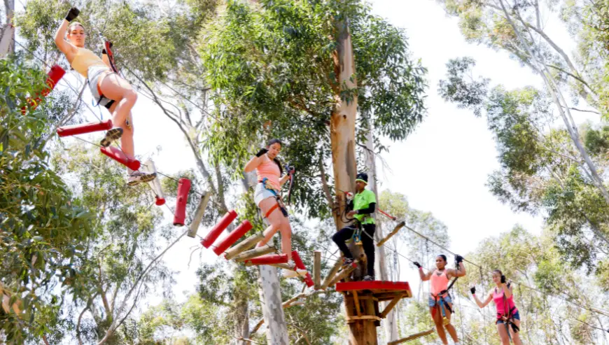 Acrobranch Constantia: Experience the Thrill