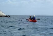 Paddle Experience