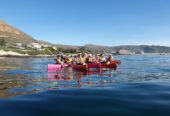 Paddle Experience