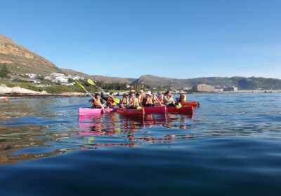 paddle-experience3