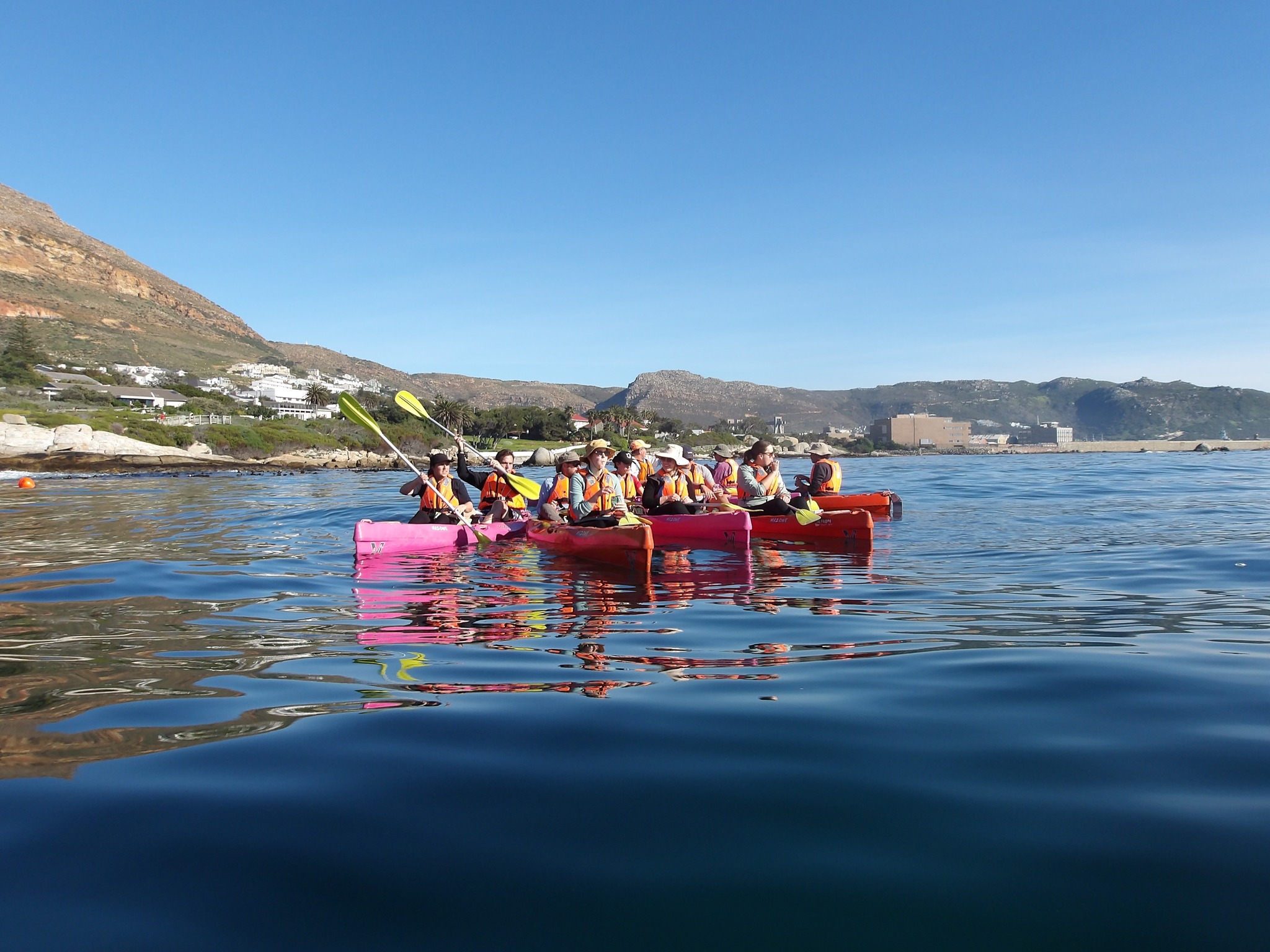 Paddle Experience