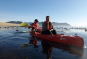 Paddle Experience