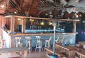Crocodile Diving at Afrikanos – Gansbaai