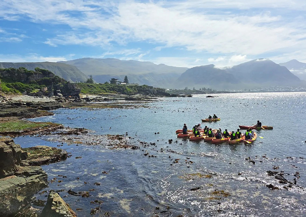 Sea Kayaking with Walkerbay Adventures
