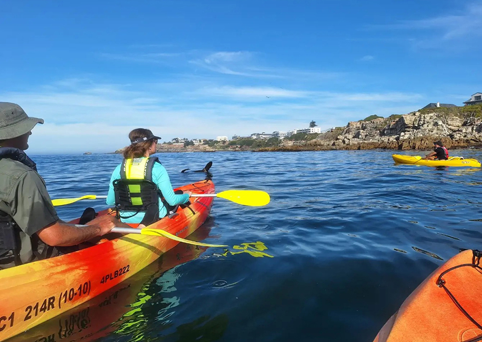 Sea Kayaking with Walkerbay Adventures