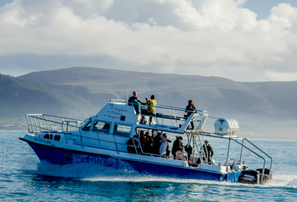 White Shark Diving Company