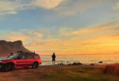 Surfari Tours