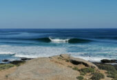 Surfari Tours