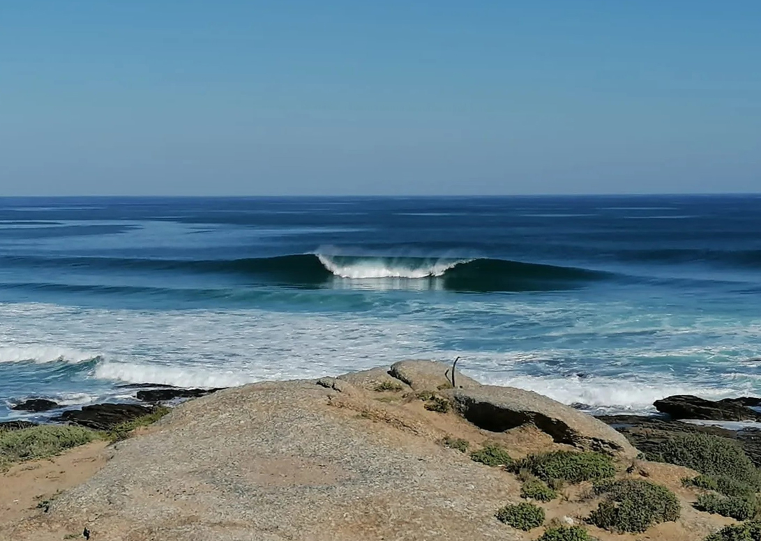 Surfari Tours