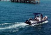 Dassen Island Boat Experience