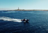 Dassen Island Boat Experience