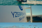 Dassen Island Boat Experience